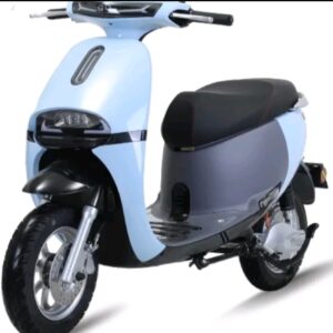 Xe máy điện Tailg Gogo R31