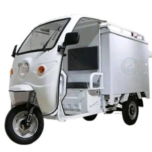 XE ĐIỆN CHỞ HÀNG 600 KG