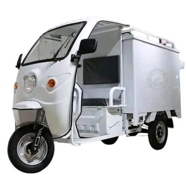 XE ĐIỆN CHỞ HÀNG 600 KG